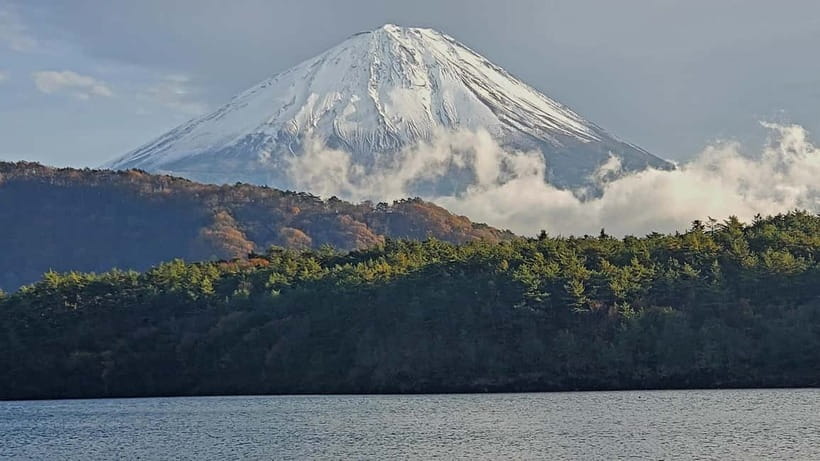 Mount Fuji & Hakone Private Tour with Bullet Train Return - Fujikawaguchiko and Lake Yamanaka
