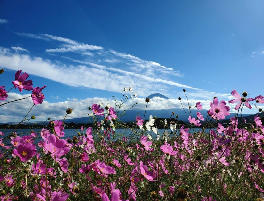 Mount Fuji & Hakone Private Tour with Bullet Train Return - Lake Ashi and the Hakone water views