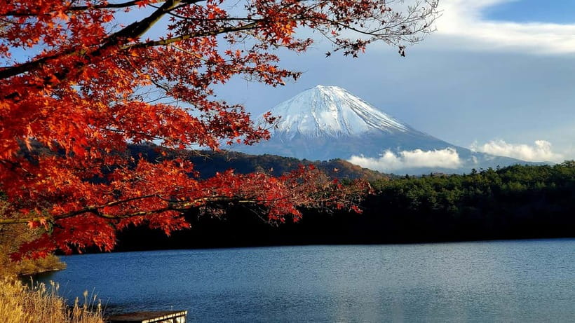 Mount Fuji & Hakone Private Tour with Bullet Train Return - What the private vehicle adds