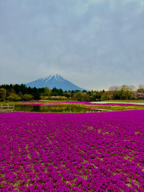 Mount Fuji Hakone with English-speaking Guide - Oshino Hakkai’s ponds and small village feel