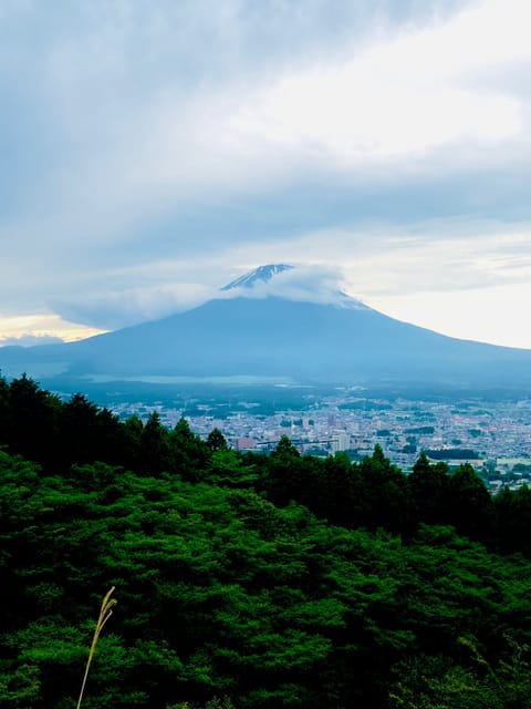 Mount Fuji Hakone with English-speaking Guide - Starting with Mount Fuji’s 5th Station
