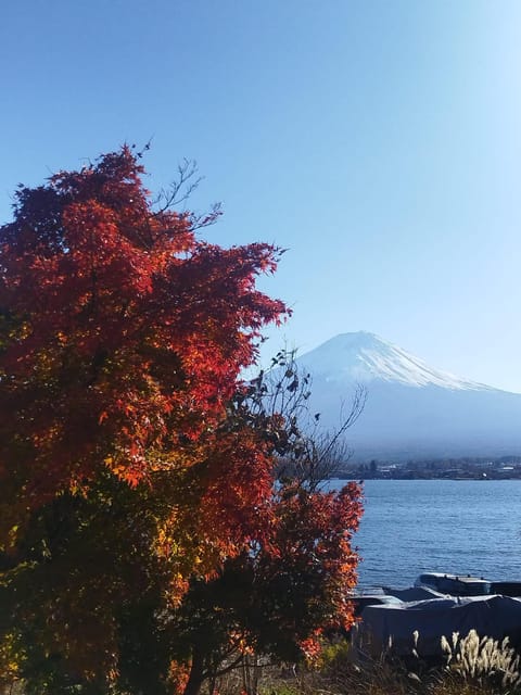 Mount Fuji-Lake Kawaguchi Private Tour with Bilingual Driver - Oshino Hakkai’s spring-fed ponds