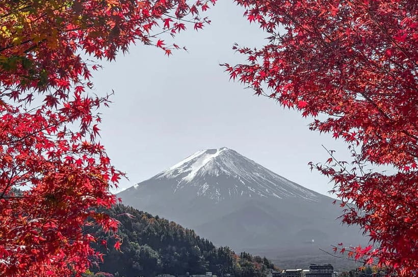 Mount Fuji,Lake Kawaguchiko Private Tour By Car With Pick Up - A practical Mount Fuji day by private car