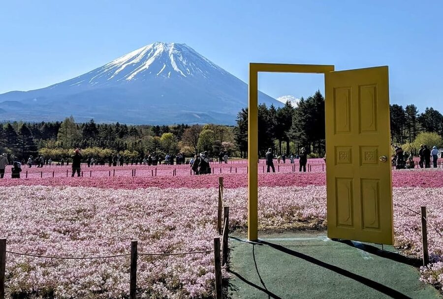Mount Fuji,Lake Kawaguchiko Private Tour By Car With Pick Up - Oshino Hakkai and water from Mount Fuji