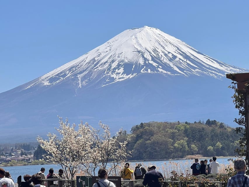 Mount Fuji,Lake Kawaguchiko Private Tour By Car With Pick Up - Lake Kawaguchi and Oishi Park