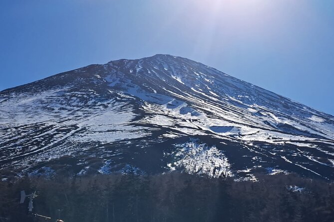 Mount Fuji (Mt. fuji) private tour by car with pickup from Tokyo - Lake Kawaguchiko, Oishi Park, and Fuji views