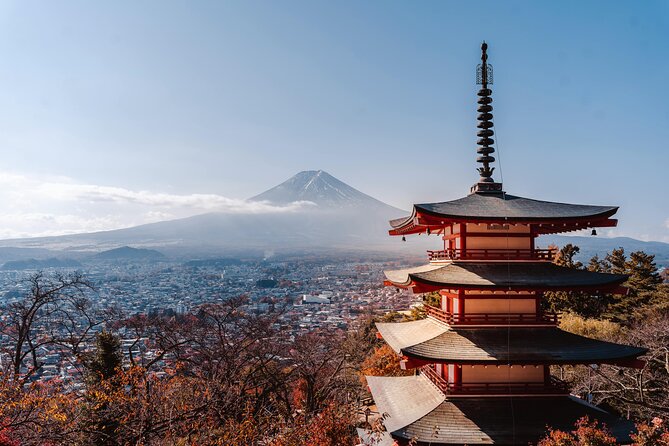 Mount Fuji (Mt. fuji) private tour by car with pickup from Tokyo - Lava caves at Narusawa and Fugaku