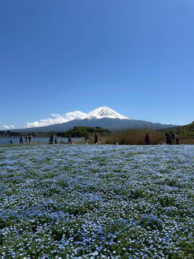 Mount Fuji One Day Private Tour With English Speaking Driver - The optional question of Mount Fuji’s 5th Station