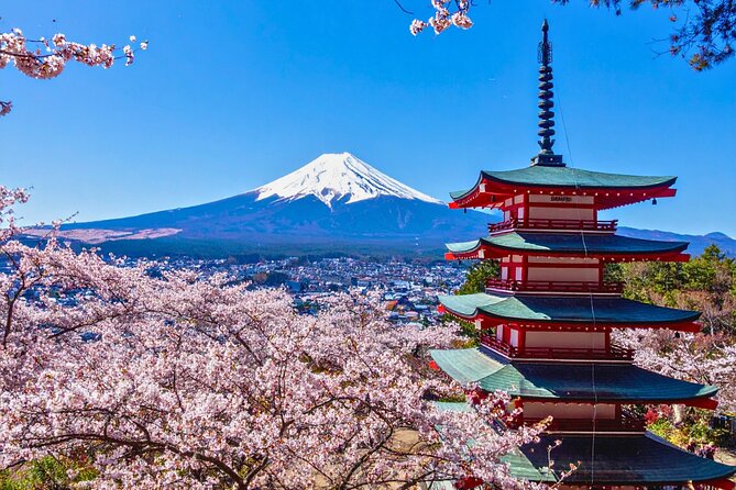 Mount Fuji Private Custom Tour with Local English Speaking Guide - Key points at a glance