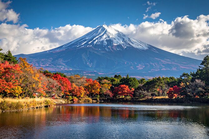 Mount Fuji Private Custom Tour with Local English Speaking Guide - Starting high at Subaru Line 5th Station