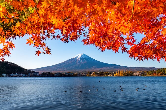 Mount Fuji Private Custom Tour with Local English Speaking Guide - Slowing down beside Lake Kawaguchiko