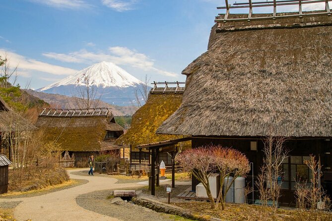 Mount Fuji Private Custom Tour with Local English Speaking Guide - A traditional village at Saiko Iyashi no Sato Nemba