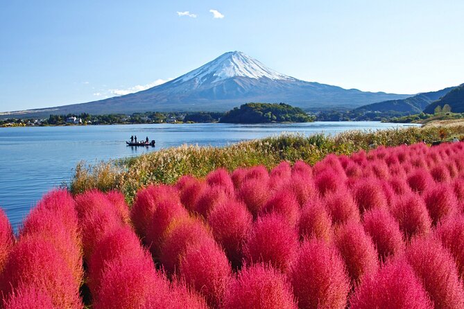 Mount Fuji Private Custom Tour with Local English Speaking Guide - Optional Oshino Hakkai and its spring-fed ponds