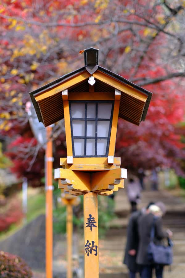Mount Fuji Private Day Trip With Customizable Itinerary - Comfort in the private luxury vehicle