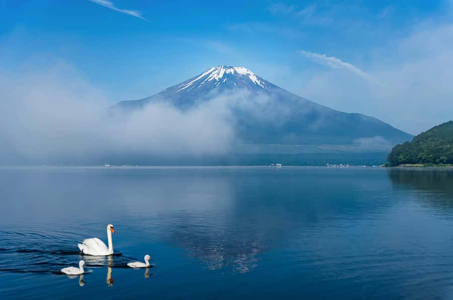 Mount Fuji Private Day Trip With Customizable Itinerary - What is not included in the $505 price