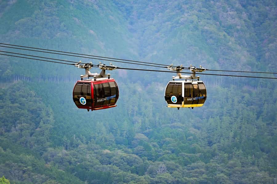 Mount Fuji Private Day Trip With Customizable Itinerary - Should you book it?