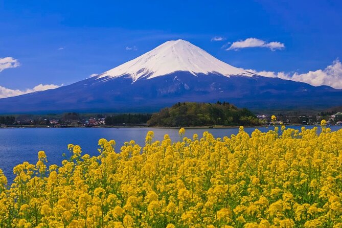 Mount fuji Private Tour - Starting early from Tokyo