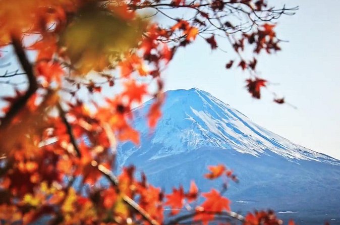 Mount fuji Private Tour - Narusawa Ice Cave, a short underground change of pace