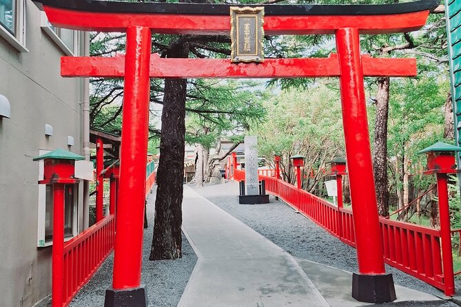 Mount fuji Private Tour - Lake Ashinoko and the included cruise idea