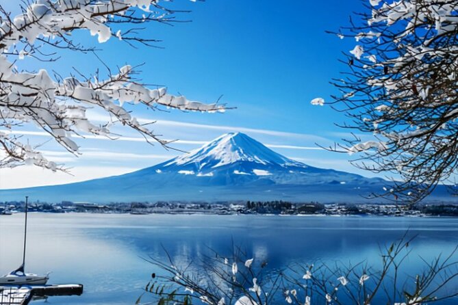 Mount Fuji Private Tour from Tokyo with English Speaking Driver - The key points at a glance