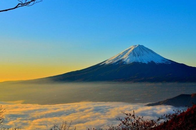 Mount Fuji Private Tour from Tokyo with English Speaking Driver - Oshino Hakkai and the taste of the Fuji area