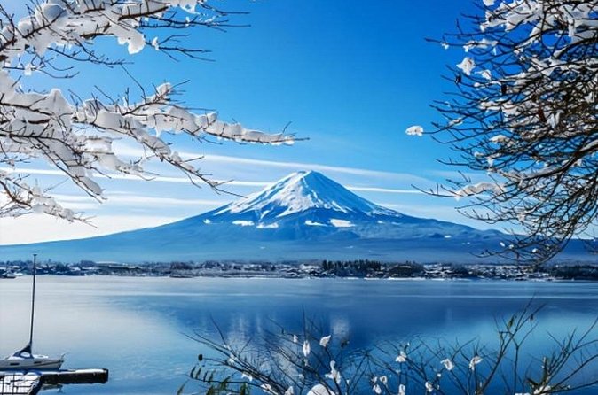 Mount Fuji Private Tour from Tokyo with English Speaking Driver - Mount Fuji 5th Station at roughly 2,300 meters