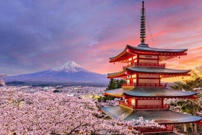 Mount Fuji Private Tour from Tokyo with English Speaking Driver - Gotemba Premium Outlets with Fuji in the background