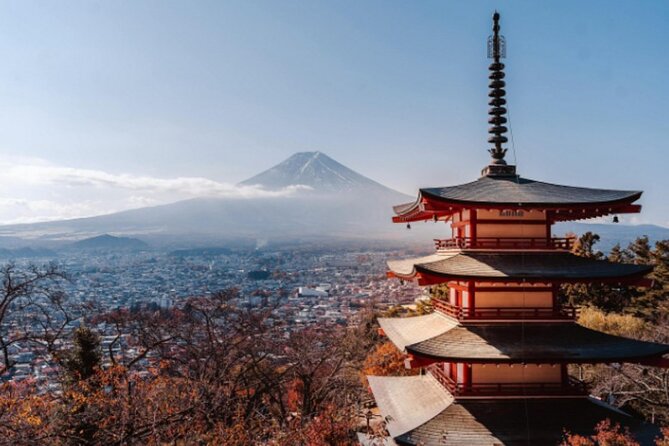 Mount Fuji Private Tour from Tokyo with English Speaking Driver - What the $431.51 group price really buys
