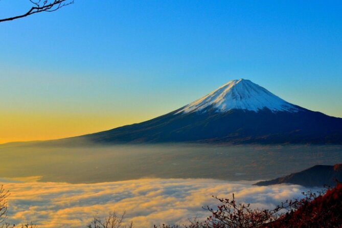 Mount Fuji Private Tour from Tokyo with English Speaking Driver - Chureito Pagoda and the classic Fuji photograph