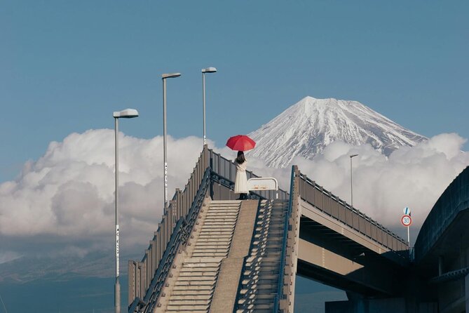 Mount Fuji Private Tour With English Speaking Driver - Saiko Iyashi no Sato Nemba and old-style houses