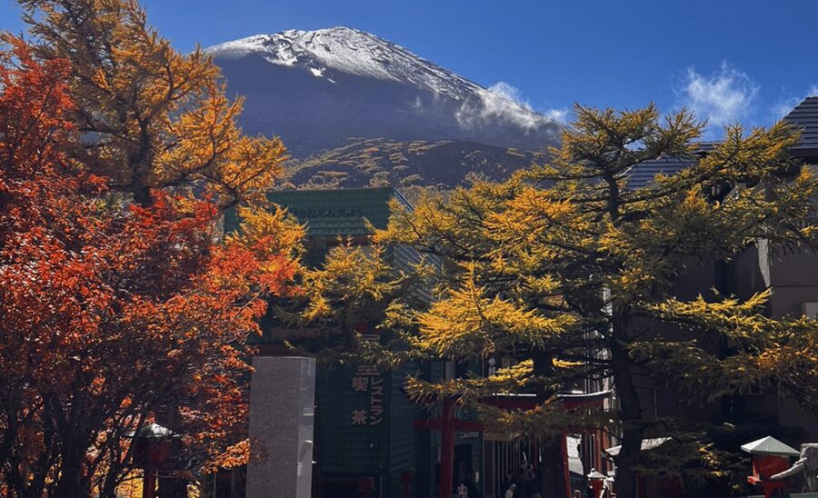 Mount Fuji Sightseeing tour with English speaking guide - A private day built around Mount Fuji