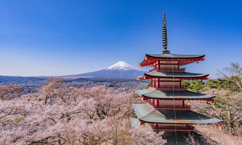 Mount Fuji Trip with English speaking guide ( customizable) - Key points to know before booking