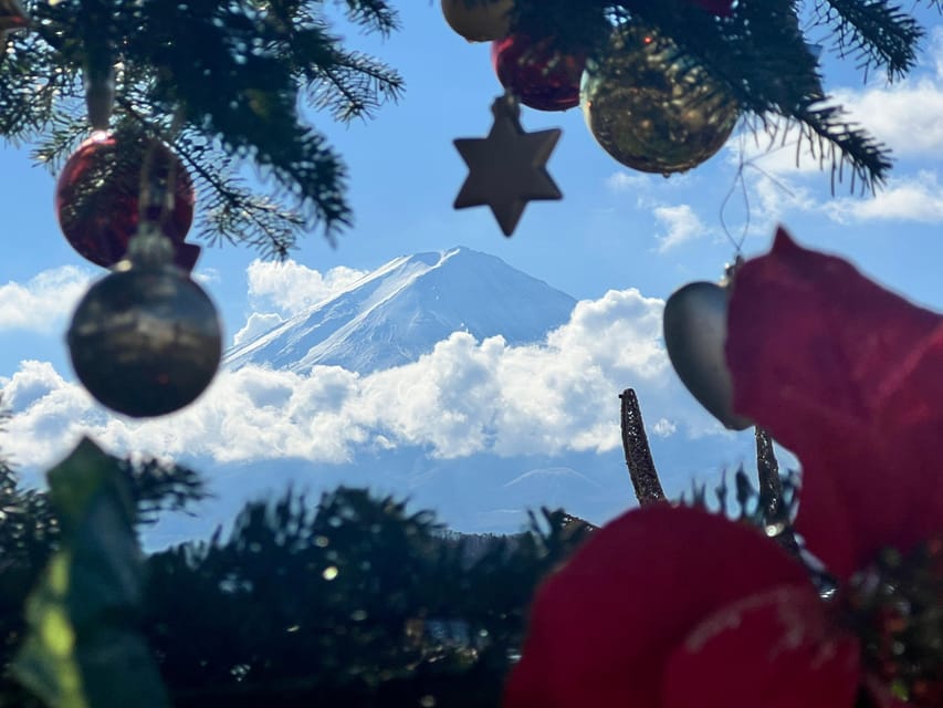 Mount Fuji Trip with English speaking guide ( customizable) - Why a private Mount Fuji day can work so well