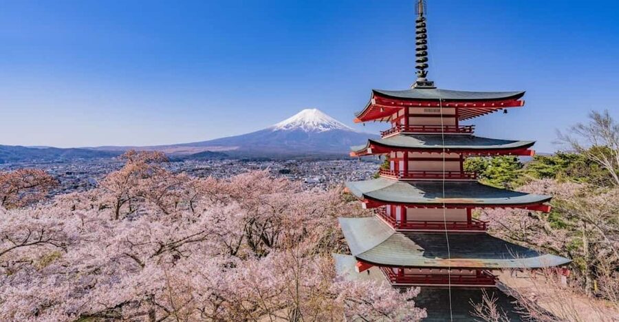 Mount Fuji Trip with English speaking guide ( customizable) - The long road from Tokyo to Fuji