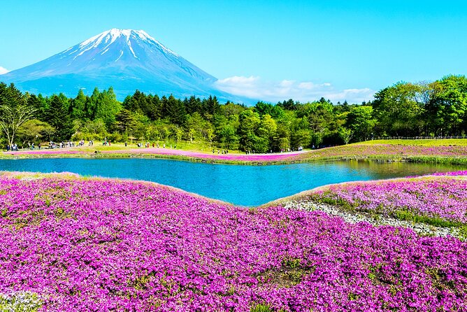 Mt. Fuji 5th, Oshino Hakkai, Onsen Full-Day Trip From Tokyo - The ride from Tokyo to Mount Fuji