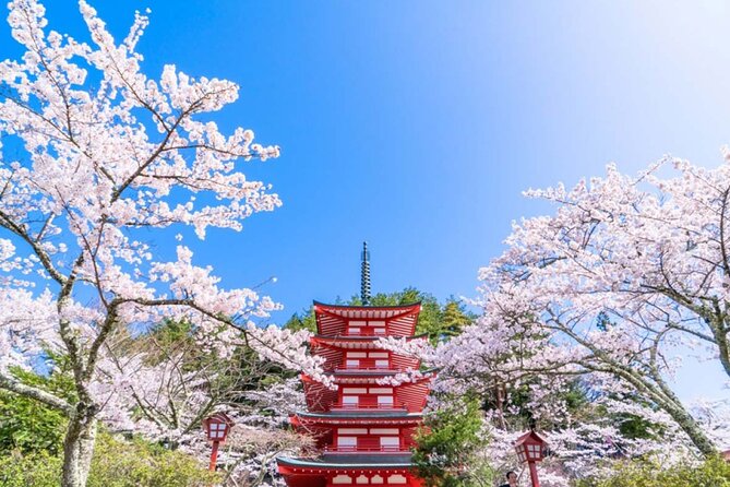 Mt. Fuji 5th, Oshino Hakkai, Onsen Full-Day Trip From Tokyo - Practical details before you book