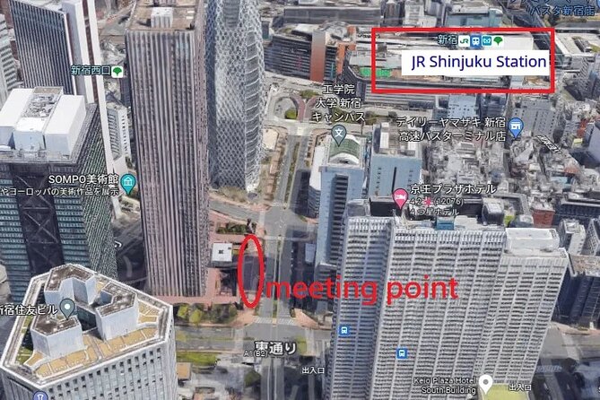 Mt. Fuji 5th Station, Owakudani Ropeway, Pirate Ship plus Outlet shopping! - Why this day trip works from Tokyo