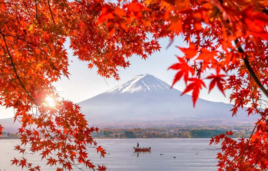 Mt. Fuji 6 Attractions Tour: Lake Kawaguchi, Oshino Hakkai - Six details that shape the day
