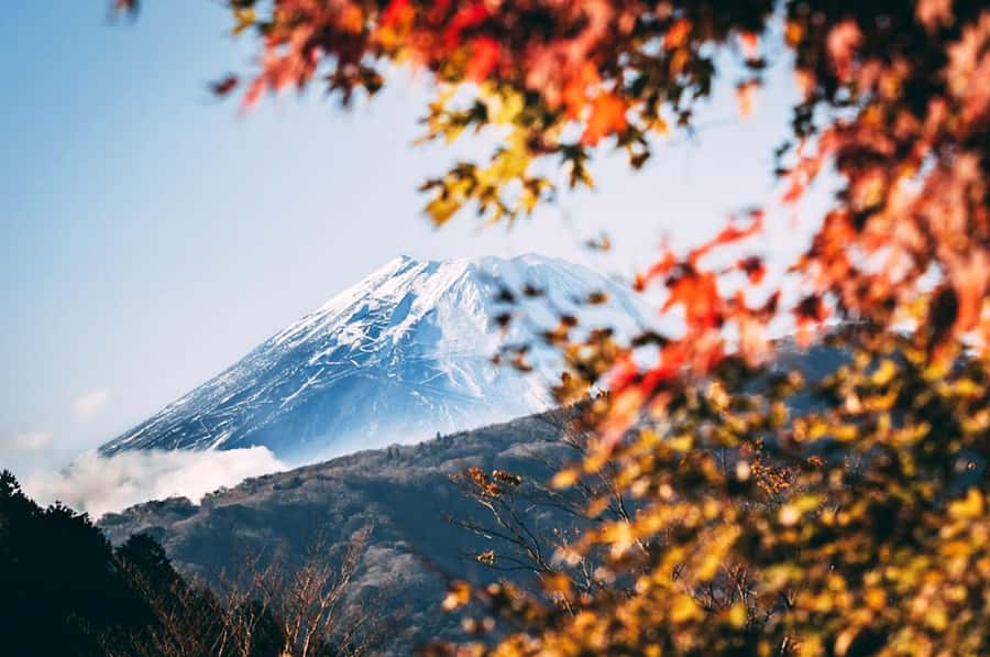 Mt. Fuji 6 Attractions Tour: Lake Kawaguchi, Oshino Hakkai - Arakura Sengen Shrine and 398 steps to Shinkurayama