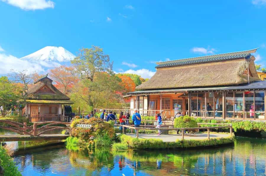 Mt. Fuji 6 Attractions Tour: Lake Kawaguchi, Oshino Hakkai - Lake Kawaguchi and Oishi Park’s seasonal frame