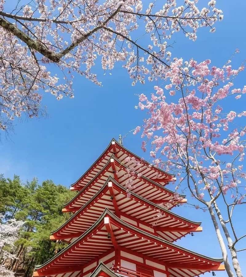 Mt. Fuji 6 Attractions Tour: Lake Kawaguchi, Oshino Hakkai - Lawson Convenience Store, a modern Fuji viewpoint