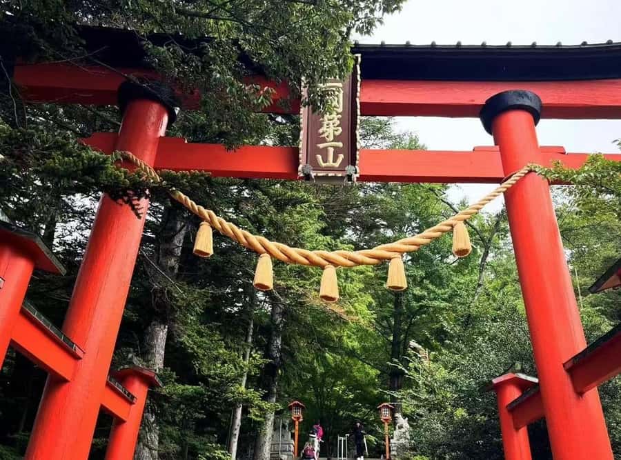 Mt. Fuji 6 Attractions Tour: Lake Kawaguchi, Oshino Hakkai - The 4:00 PM return and the traffic question