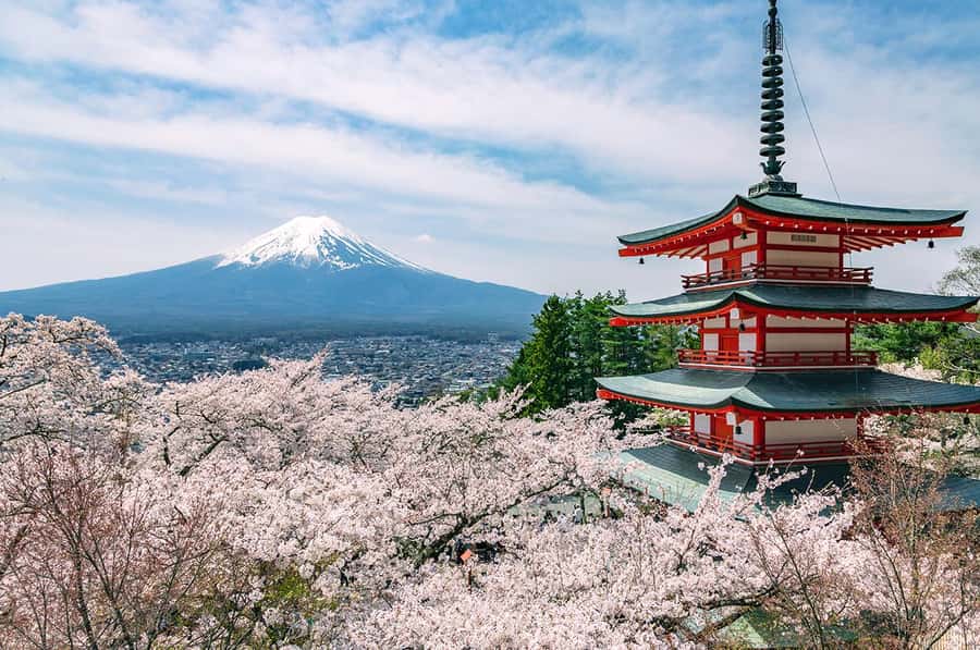 Mt. Fuji 6 Attractions Tour: Lake Kawaguchi, Oshino Hakkai - Who should book this experience