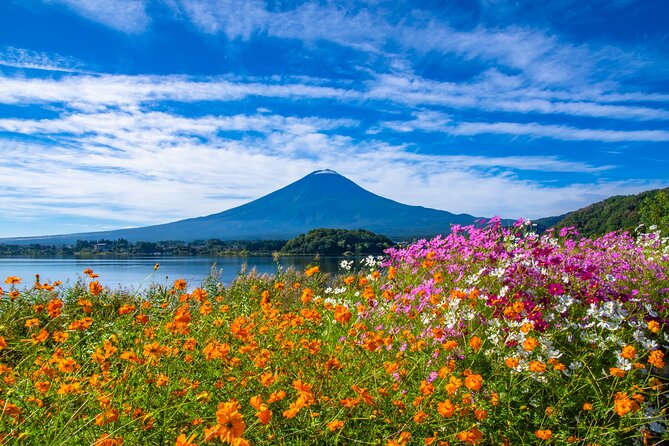 Mt. Fuji and Hakone 1 Day Bus Tour + Kimono Experience - Kawaguchi Asama Shrine and its cedar approach
