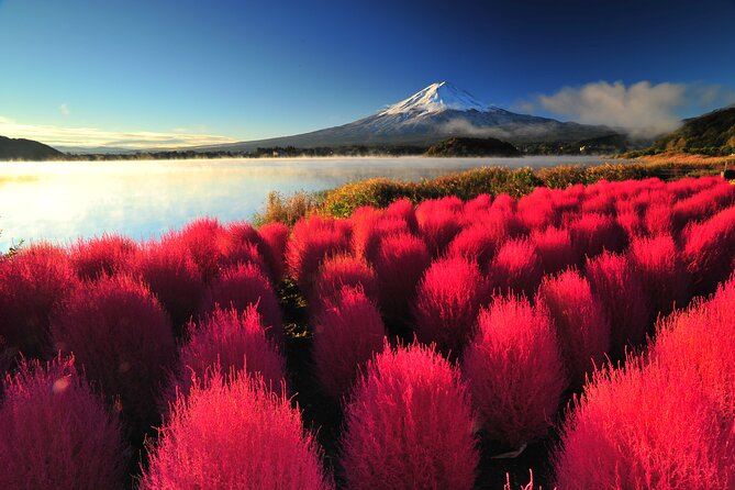 Mt. Fuji and Hakone 1 Day Bus Tour + Kimono Experience - Lunch at Tabi no Eki Kawaguchiko Base