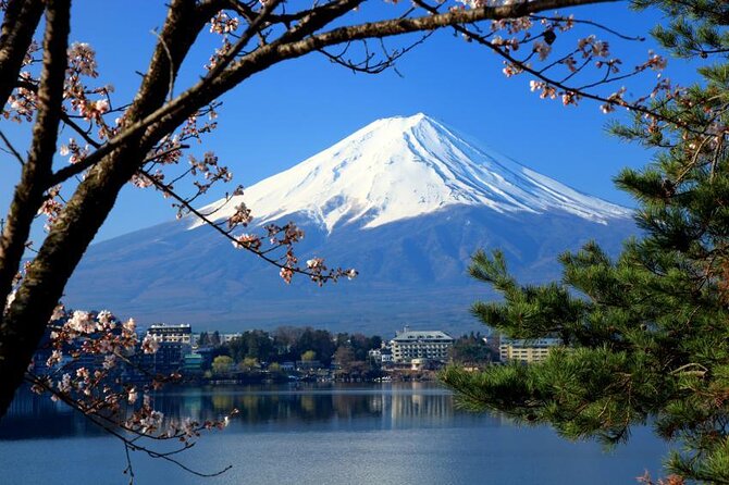 Mt Fuji and Hakone 1-Day Bus Tour Return by Bullet Train - A buffet lunch near the foot of Fuji