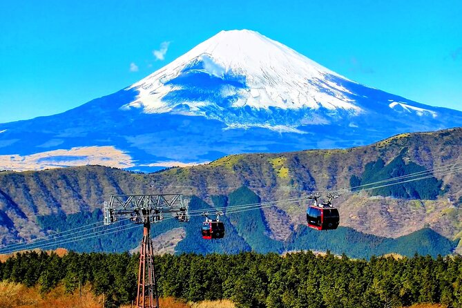 Mt Fuji and Hakone 1-Day Bus Tour Return by Bus - The return to Tokyo needs careful planning