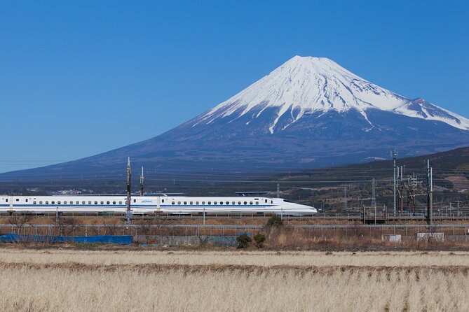 Mt. Fuji and Hakone Day Trip From Tokyo with Bullet Train Option - Why this day trip works for first-time visitors