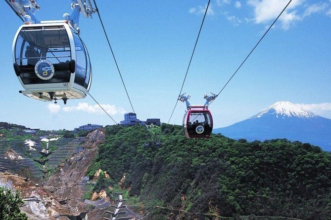 Mt. Fuji and Hakone Day Trip From Tokyo with Bullet Train Option