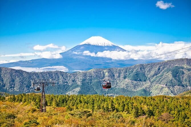 Mt Fuji and Hakone Private Day Tour - Key points before you book